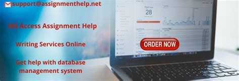 Access Assignment 的图像结果