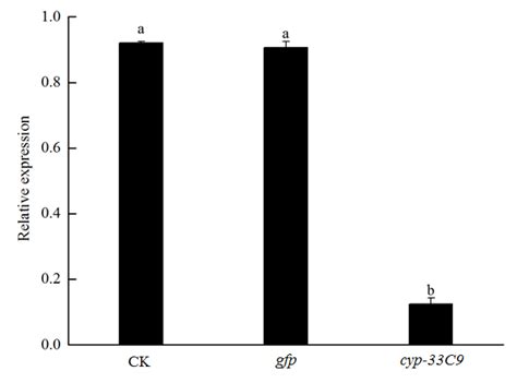 Silencing of cyp-33C9 Gene Affects the Reproduction and Pathogenicity ...