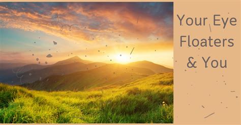 Image result for Eye Floaters Under Microscope