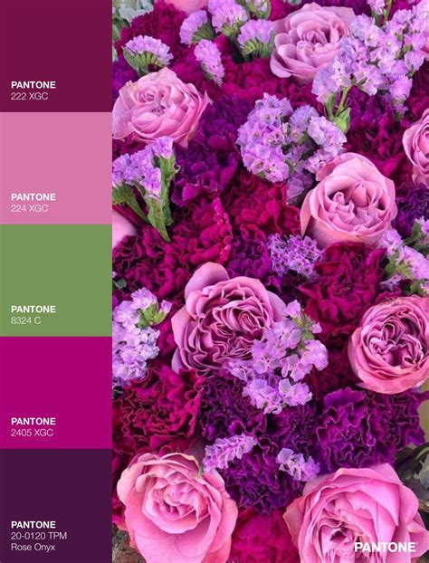 Fuschia Color Combinations