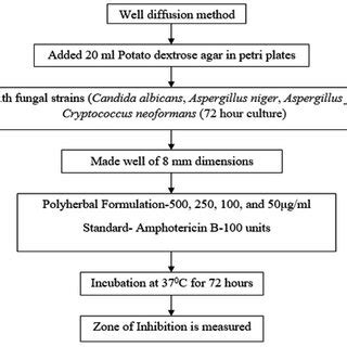 Image result for Well Diffusion Method