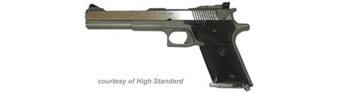 Image result for AMT Automag II Problems