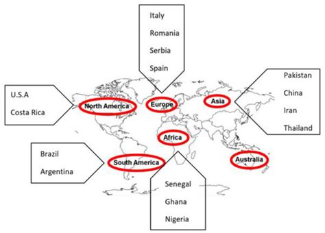 Aflatoxin Contamination, Its Impact and Management Strategies: An ...