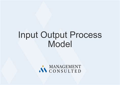 Input Process Output Examples 的图像结果