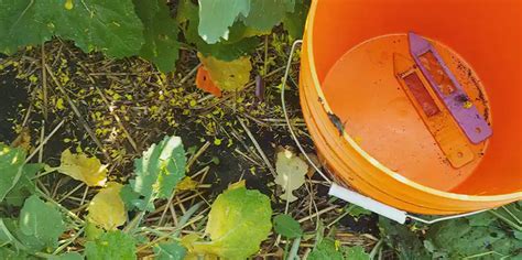 Nutrient Level Sensor 的图像结果