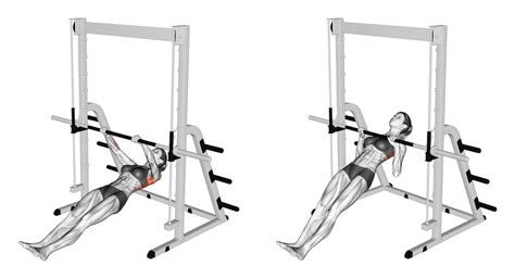 Image result for Horizontal Row Exercise