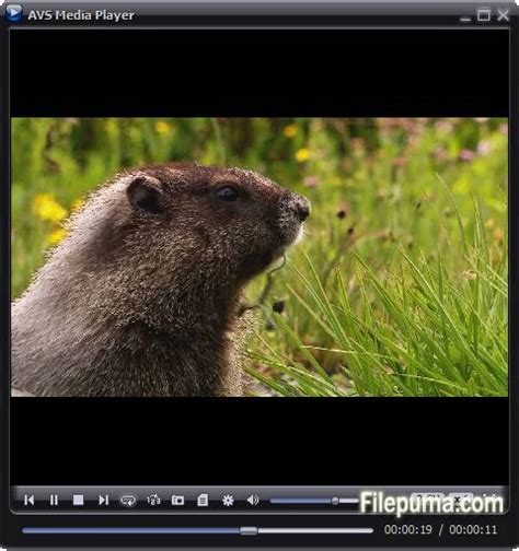 Image result for AVS Version