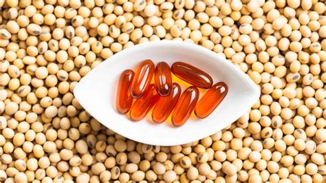 How to set up a profitable soya lecithin manufacturing plant - Kumar Metal Industries