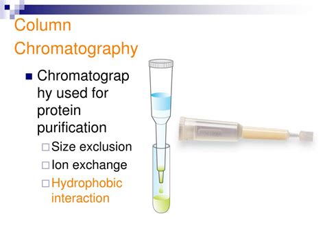 Image result for Purifying GFP Using Column Chromatography