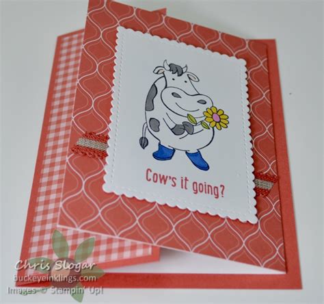 Image result for Fun Folds