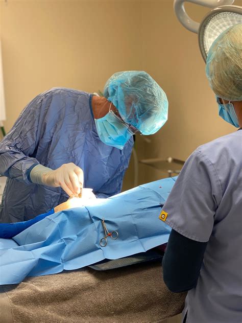 Services — Hewitt Veterinary Hospital, Waco Texas