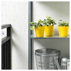 vasi per fiori ikea fioriere ikea vasi per fiori ikea fioriere ikea