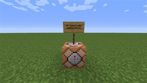 Minecraft TP Tutorial 的图像结果