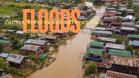 Information About Floods 的图像结果