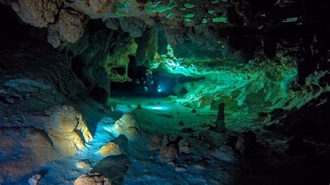 Cave Mexico (Tulum) - 2022 What to Know Before You Go (with Photos ...