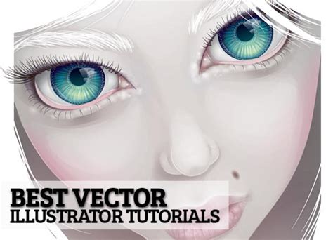 Image result for Vector Creating Tutorials Illustrator
