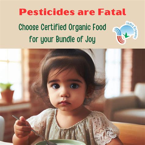 TummyFriendly Foods Certified Organic Sprouted Ragi Flour For Little O ...