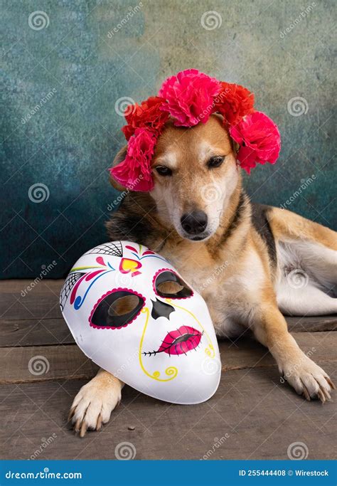 Personification Of Fear In Greek Mythology God Phobos. He Is The Son Of ...