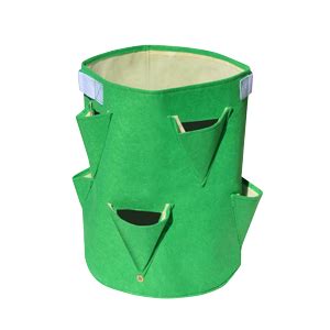 Chennai Best nursery / Garden plants with grow bag in chennai - yazhini ...