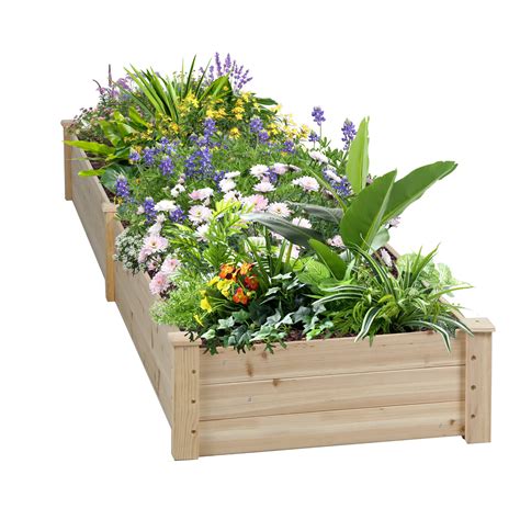 Loon Peak® Mclawhorn 8 ft x 2 ft Wood Raised Garden Bed & Reviews | Wayfair