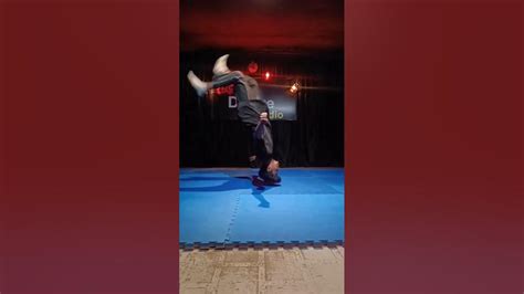 Flipper Stunt 的图像结果