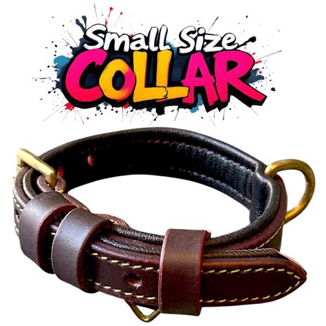 The K9 Store 100% Highgrade Leather Colored Basic Dog Neck Collar (Cho