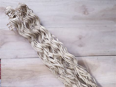 Palm Leaf Long Laser – JOYNAGAR