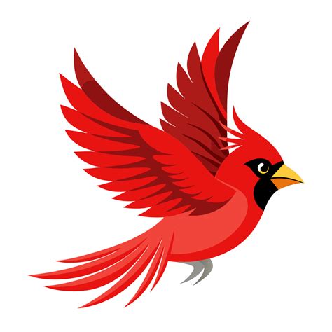 Cute Cardinal Bird Clipart | Free Png, Svg, Vector