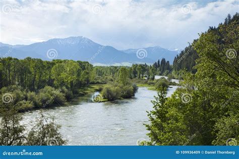 The Snake River South Fork in the Swan Valley of Idaho Stock Image ...