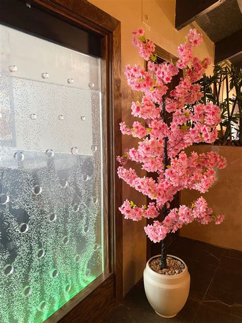 Kintaro Sushi Hibachi – Just A Cleveland Girl