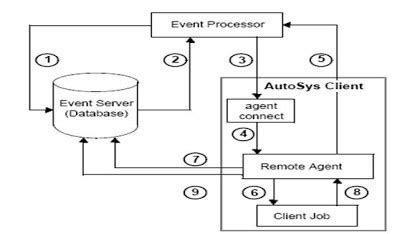 Image result for AutoSys Client and Server