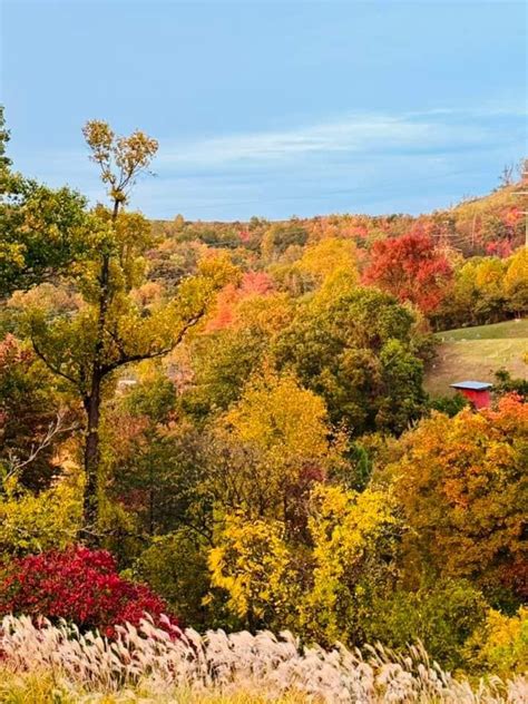 All of the Colors - Last Walk and Run Group of Year., Spring Hill ...