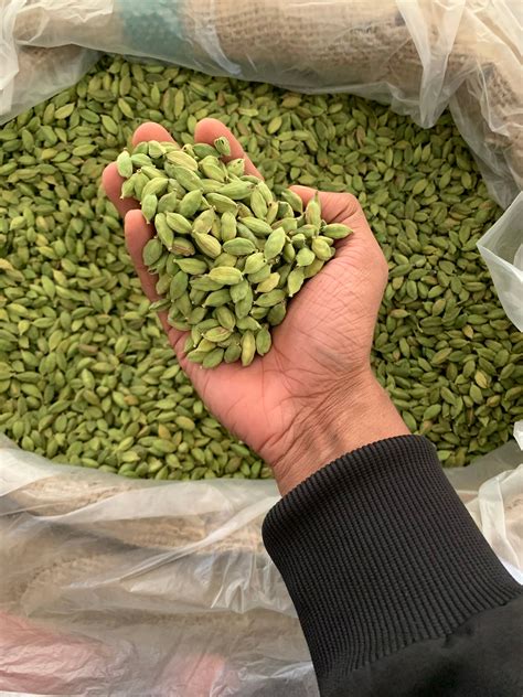 Spice Symphony South Collection