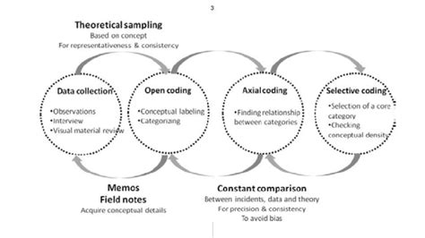 Selective Coding 的图像结果