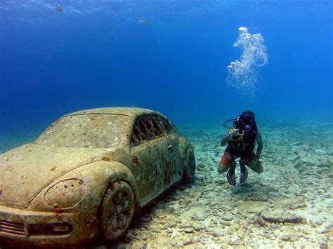 Cthulhu Divers (Cancun) - All You Need to Know BEFORE You Go