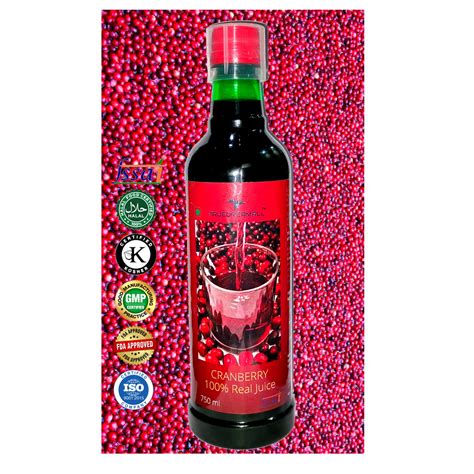Buy TRUEDREAMALL PURE CRANBERRY Concentrate Juice for uti, sugar free ...