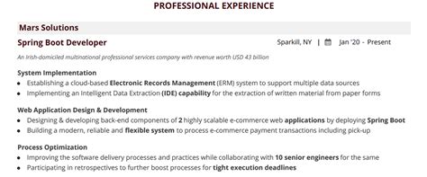 Image result for Spring Boot Project Example Resume