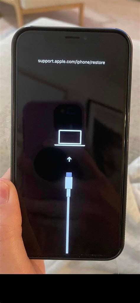 iPhone X stuck on this screen! Plugged into computer and iTunes. Please ...