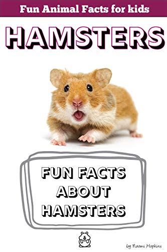 Fun Facts about HAMSTERS: Fun Animal Facts for kids (HAMSTER FACTS ...