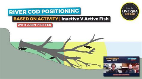 Image result for Catching Murray Cod On Lures Land-Based