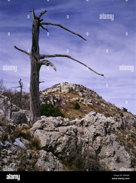TEXAS - Rounded summit of 8749-foot Guadalupe Peak, highest point in ...