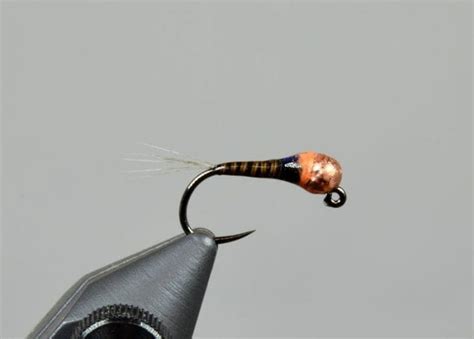 Image result for Spanish Bullet Fly Pattern
