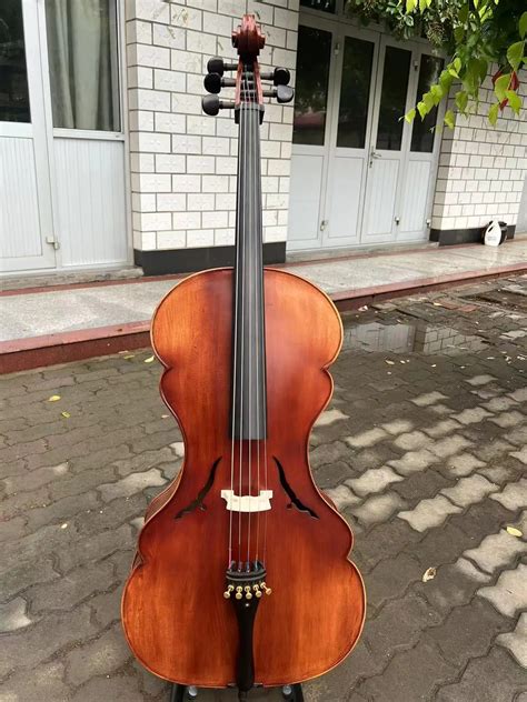 Image result for String Instruments Cello