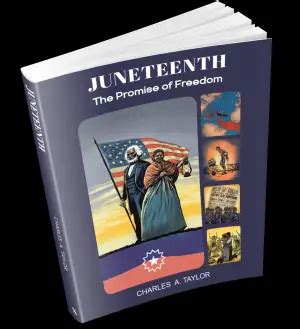 Attribute Examples 的图像结果