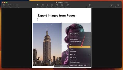 Image result for Export File Page