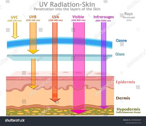 Ultraviolet Radiation Ultraviolet Radiation | Radiation And Your