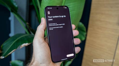 Image result for Latest Android Updates From Codex