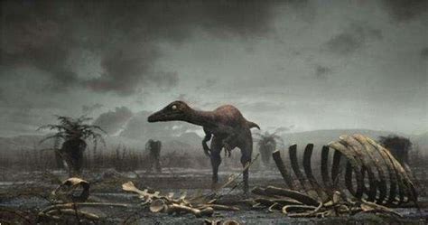 恐龙为什么会灭绝！