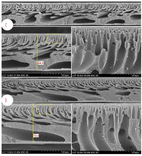 Utilization of DES-Lignin as a Bio-Based Hydrophilicity Promoter in the ...