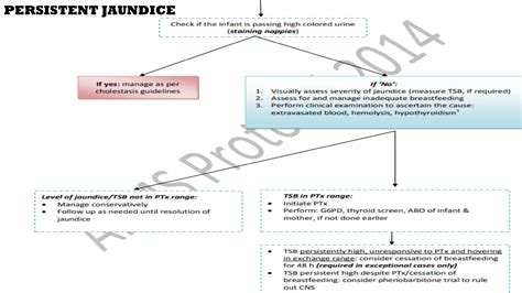 Image result for Neonatal Jaundice Algorithm